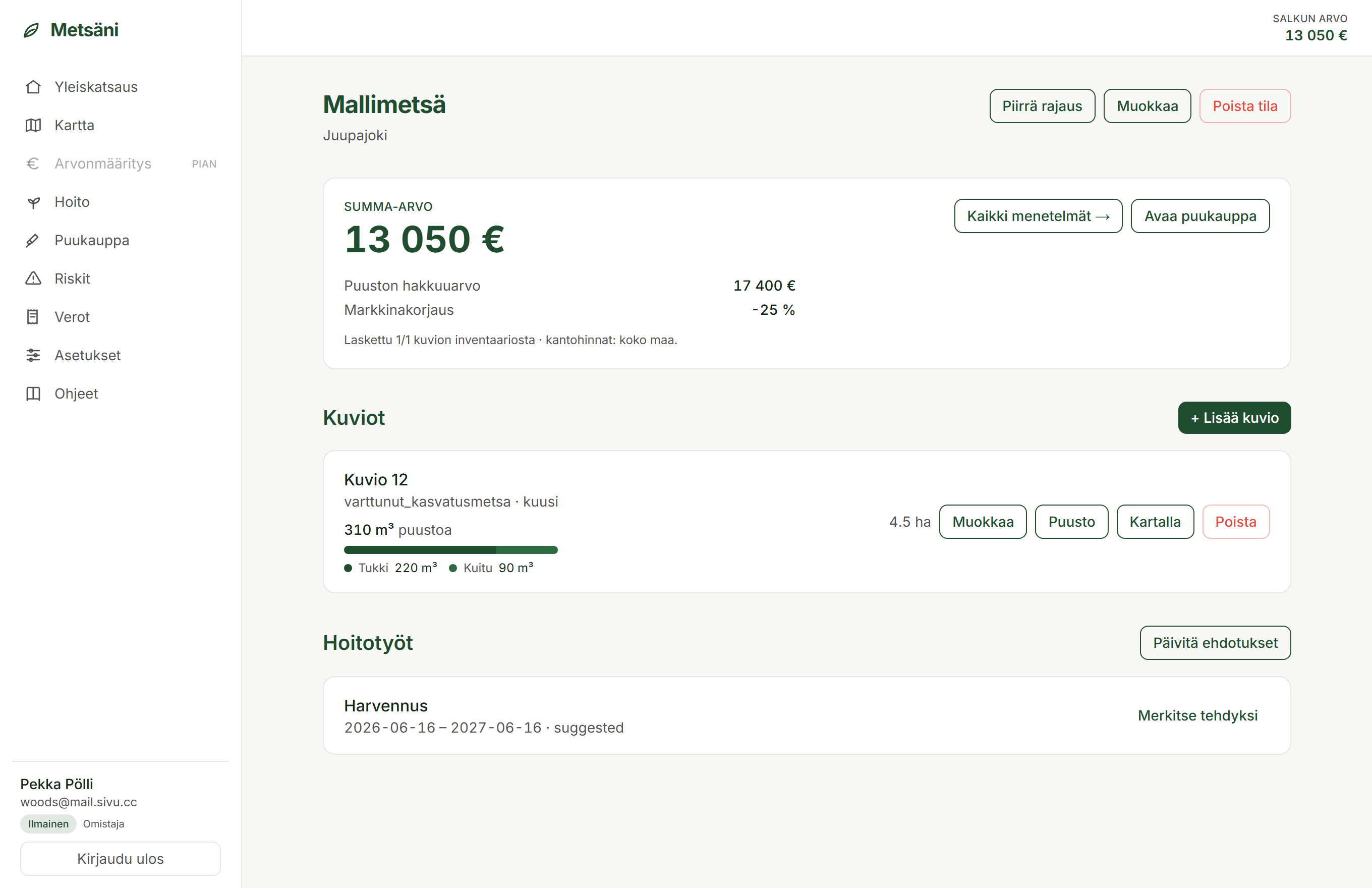 Metsätilan kuvionäkymä